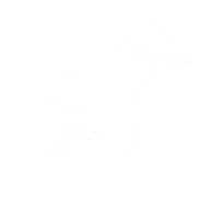 Pin for web