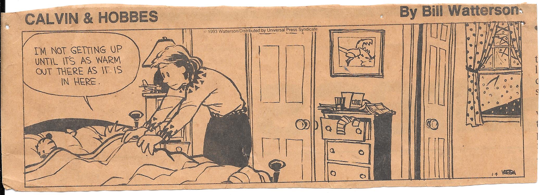 Calvin and Hobbes Cold