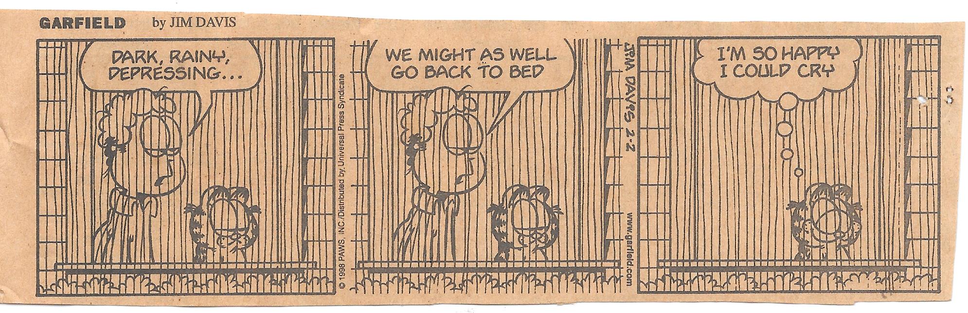 Garfield Rainy Day