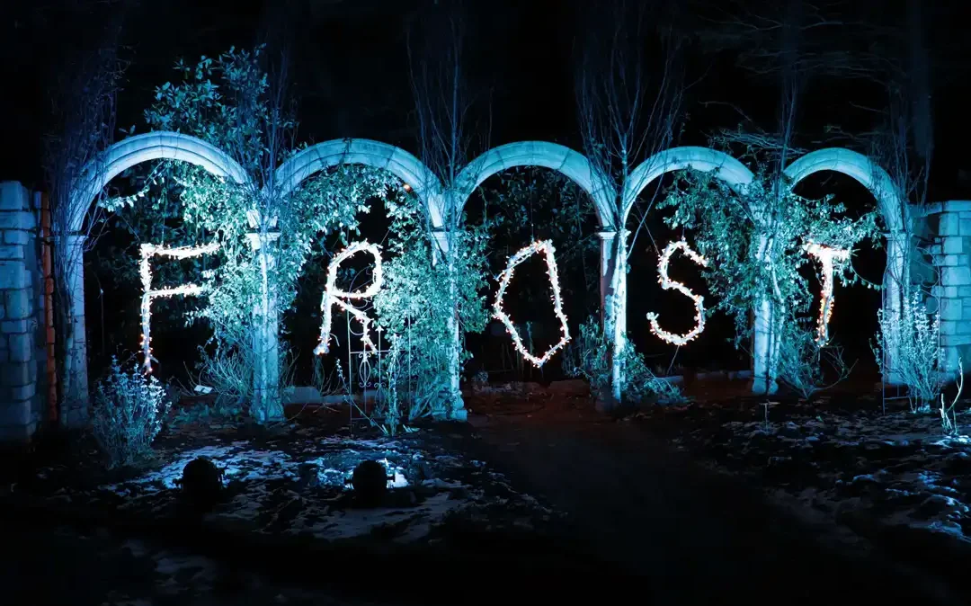 2024 Frost at Botanical Garden