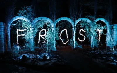 2024 Frost at Botanical Garden