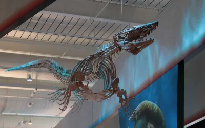 Cleveland Museum of Natural History
