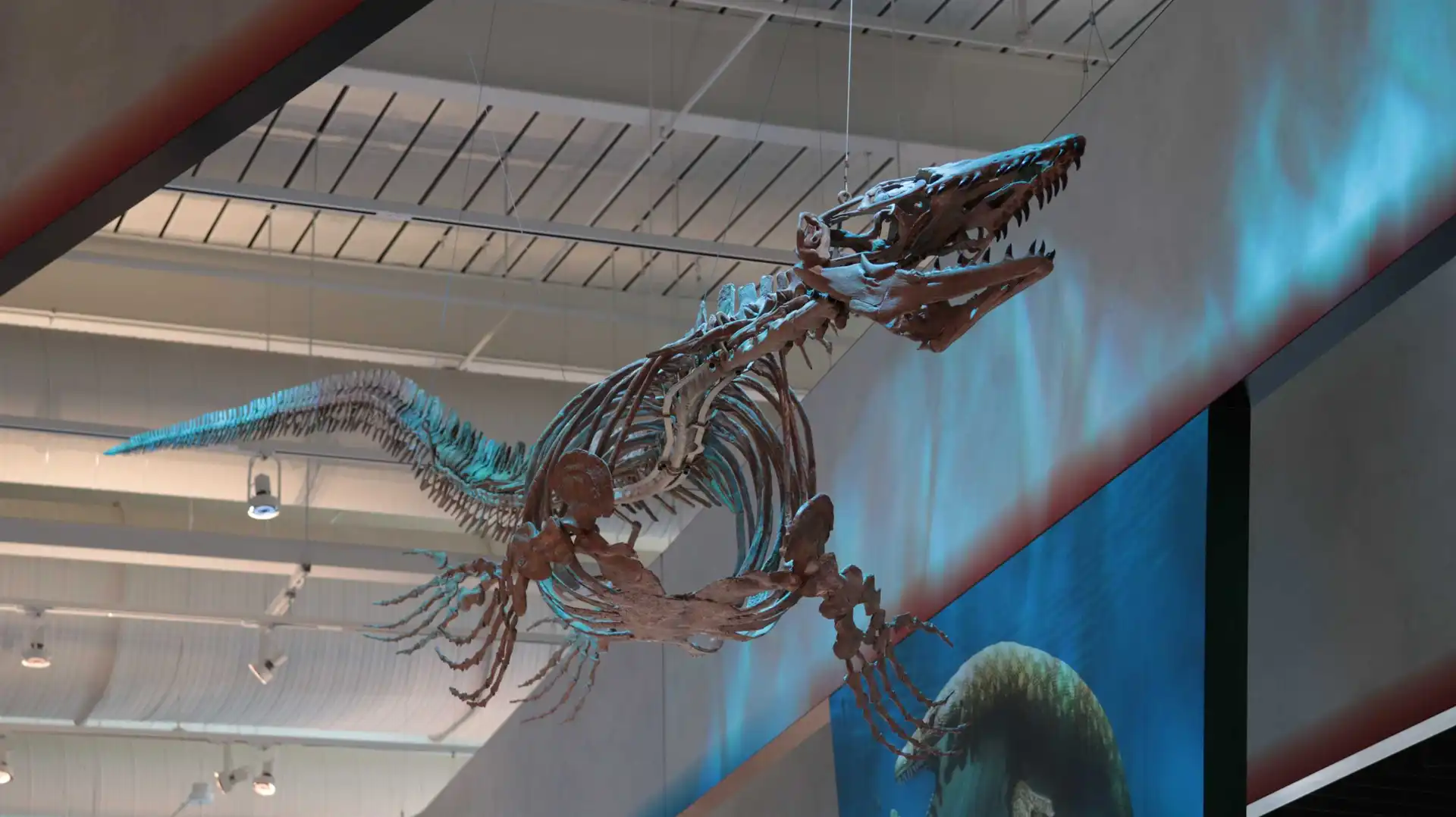 Cleveland Museum of Natural History