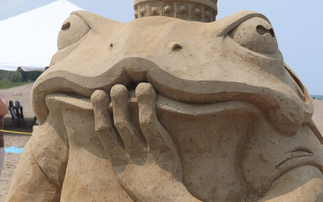 Sand Sculptures, Lego Sculptures and Beautiful Flowers