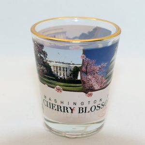 DC Cherry Blossom Festival 2022